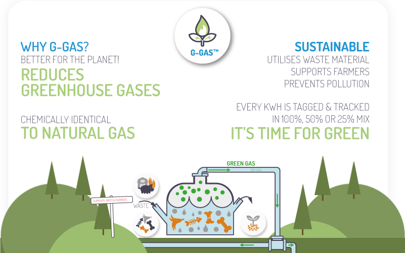 Green Gas Biomethane